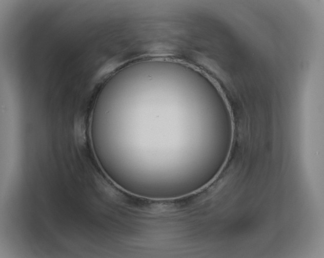 X0000113041451200909031302