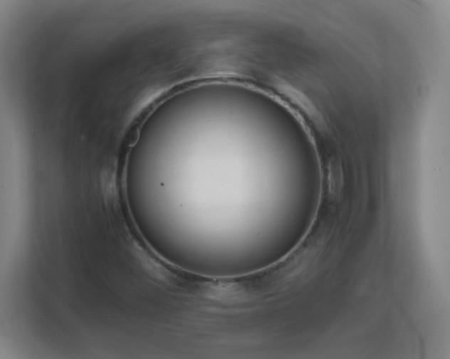 X0000113041452200909031302