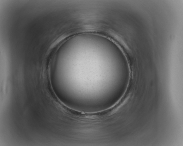 X0000113041453200909031302