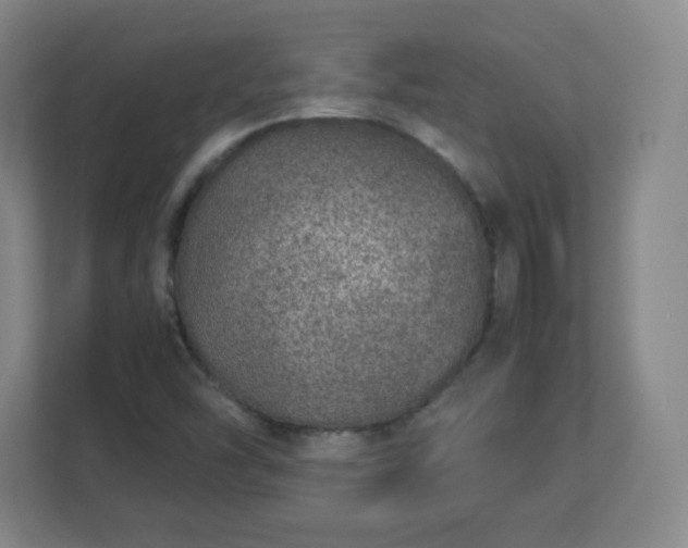 X0000113041454200909031302