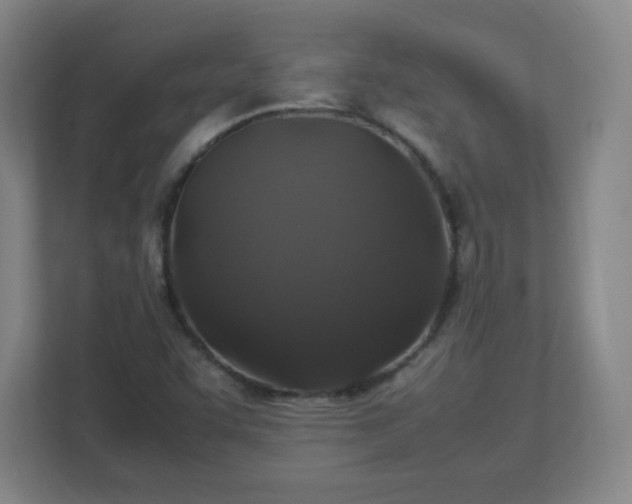 X0000113041455200909031302