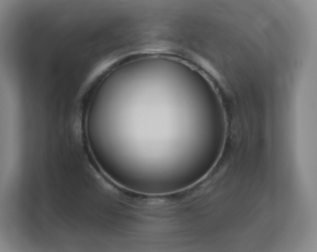 X0000113041456200909031302
