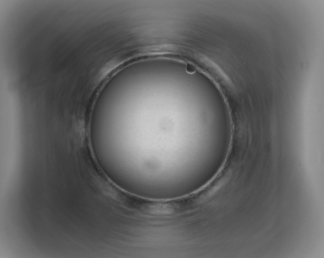 X0000113041457200909031302