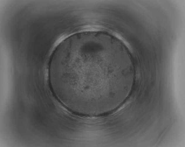 X0000113041459200909031302