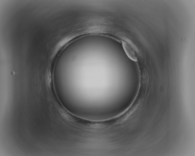 X0000113041461200909031302