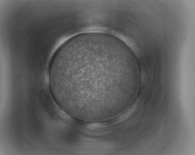 X0000113041462200909031302
