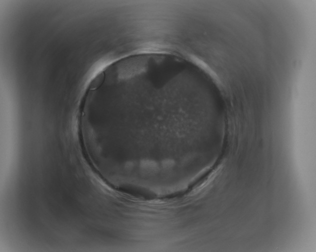 X0000113041463200909031302