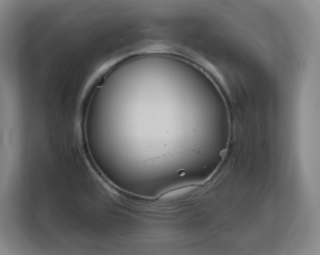 X0000113041464200909031302