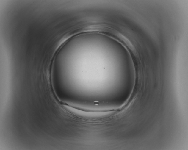 X0000113041465200909031302