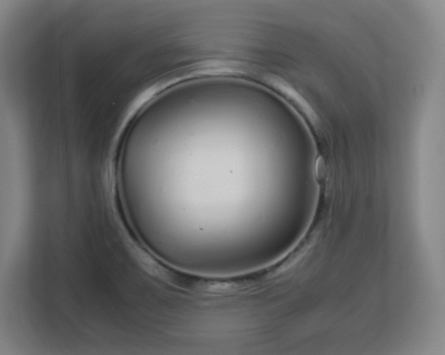X0000113041467200909031302