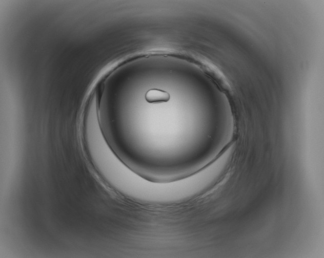 X0000113041469200909031302
