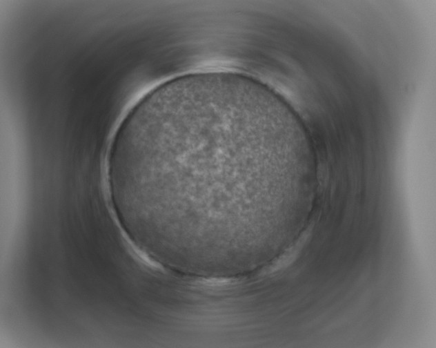 X0000113041470200909031302