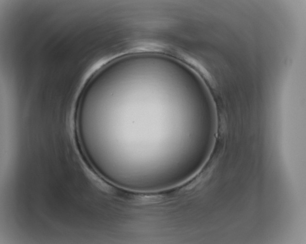 X0000113041471200909031302