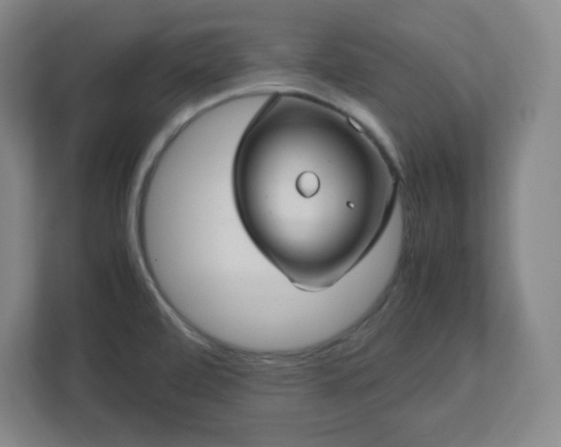 X0000113041472200909031302