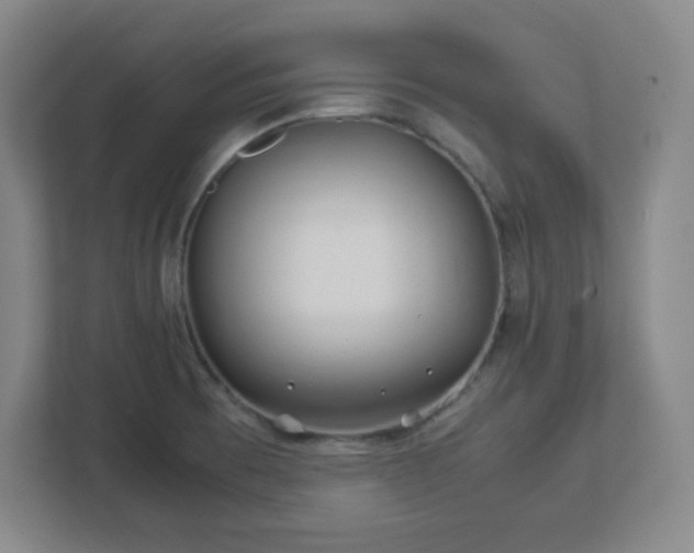 X0000113041473200909031302