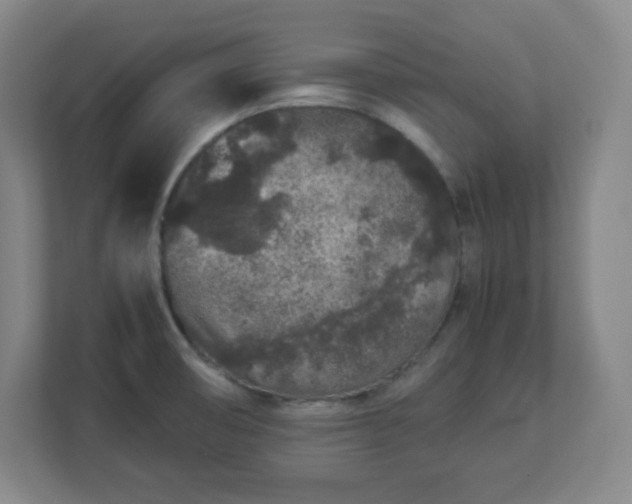 X0000113041474200909031302