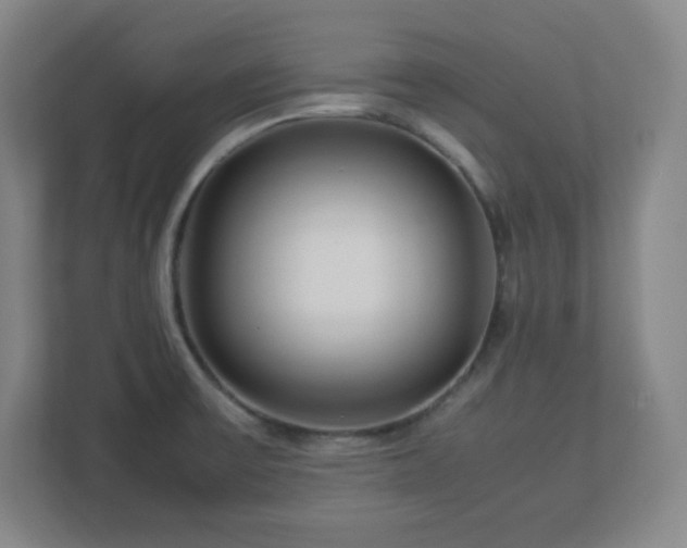 X0000113041475200909031302