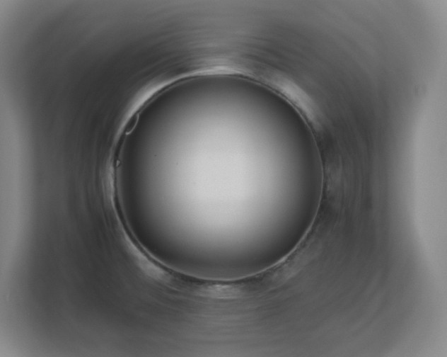 X0000113041476200909031302