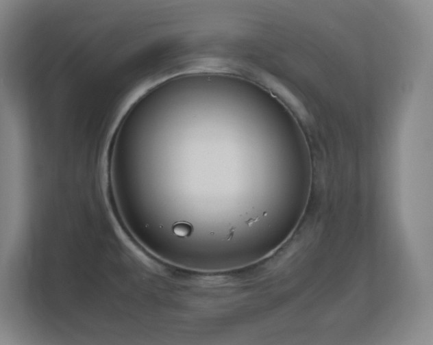 X0000113041479200909031302