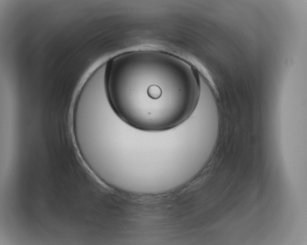 X0000113041480200909031302