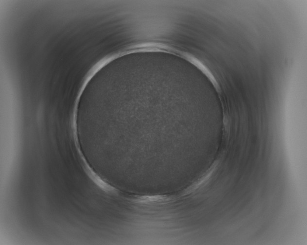 X0000113041482200909031302