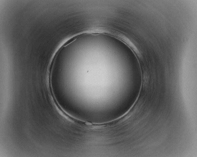 X0000113041484200909031302