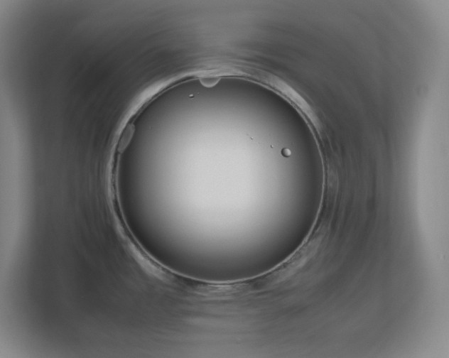 X0000113041485200909031302