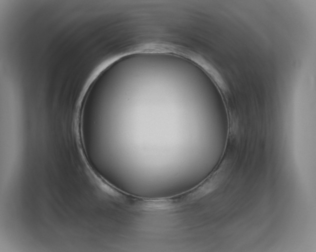 X0000113041486200909031301