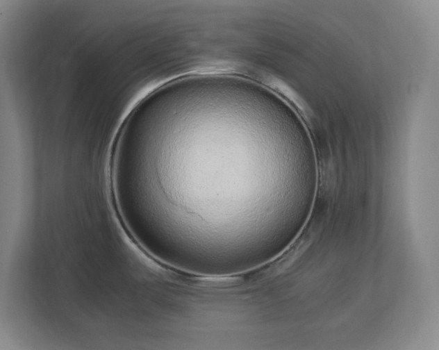 X0000113041487200909031301