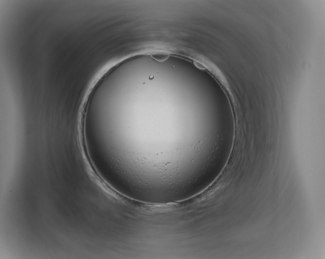 X0000113041488200909031301