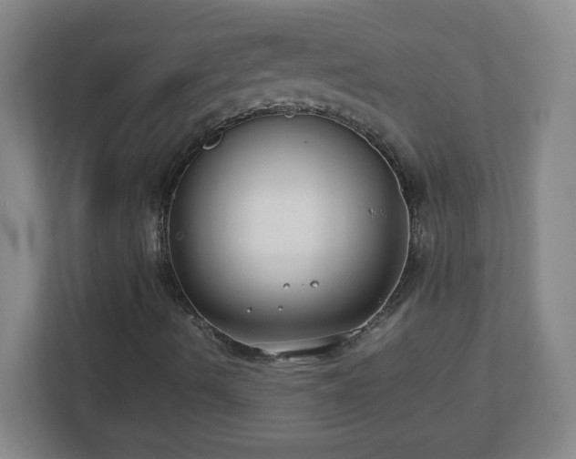X0000113041490200909031301