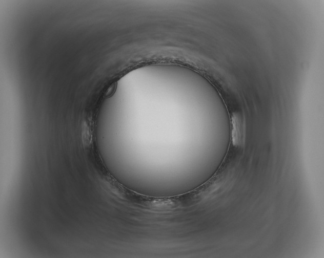 X0000113041491200909031301
