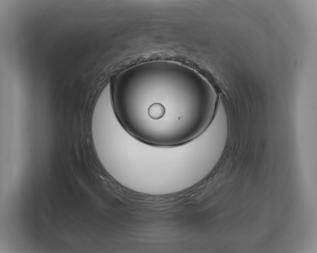 X0000113041492200909031301