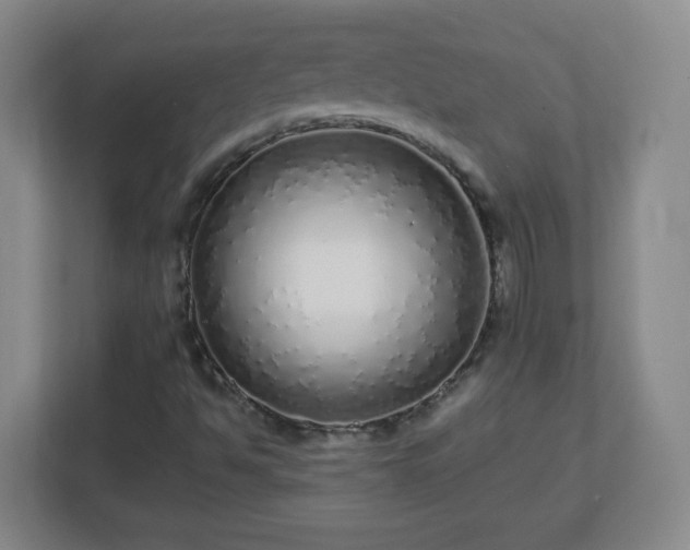 X0000113041494200909031301