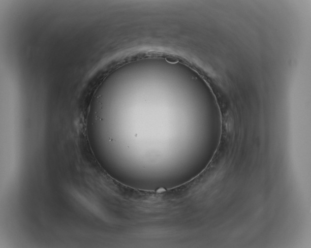 X0000113041495200909031301