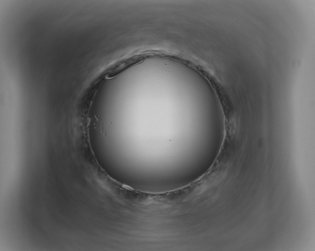 X0000113041496200909031301