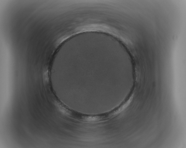 X0000113041497200909031301