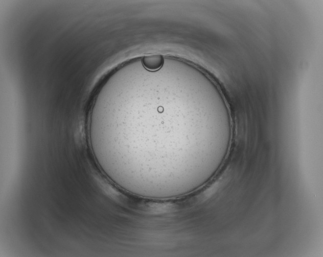 X0000113041498200909031301