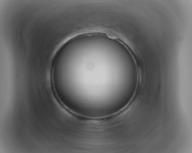 X0000113041500200909031301