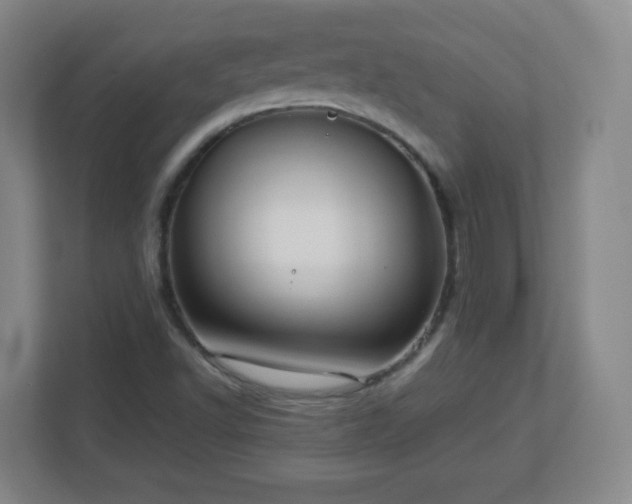 X0000113041502200909031301
