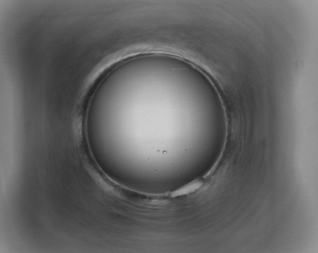 X0000113041503200909031301