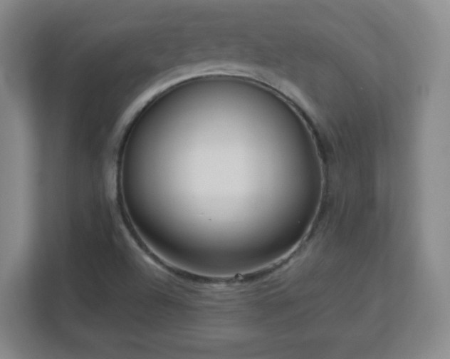 X0000113041504200909031301