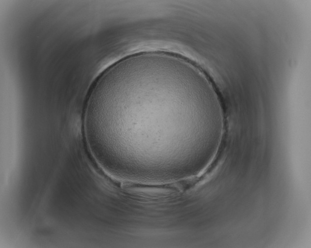 X0000113041505200909031301
