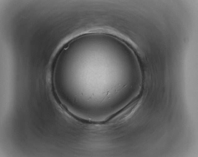 X0000113041506200909031301