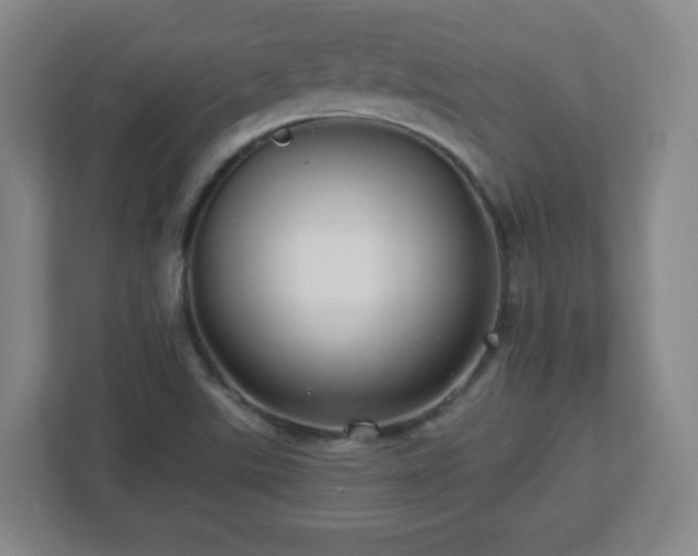X0000113041507200909031301
