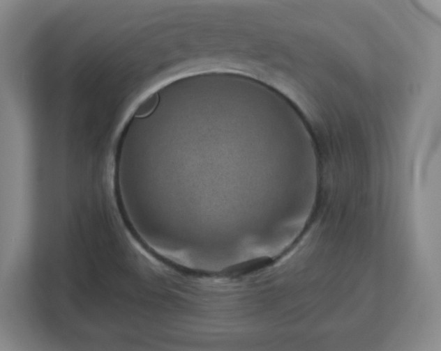 X0000113041508200909031301