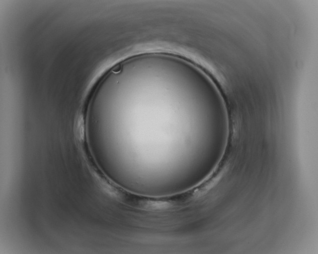X0000113041509200909031301