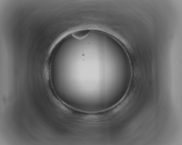 X0000113041510200909031301