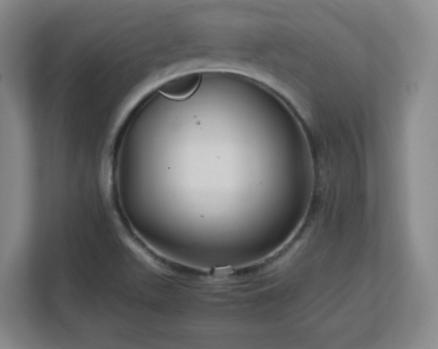 X0000113041511200909031301