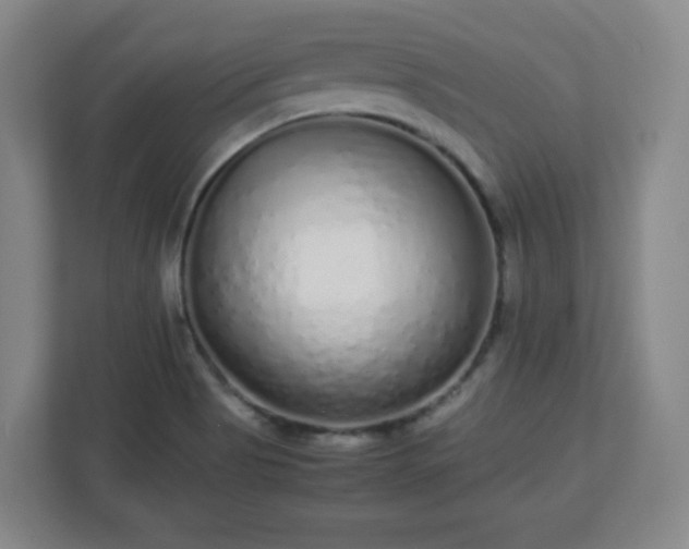 X0000113041513200909031301